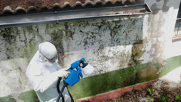 Trusted Commercial Mold Remediation service in Lockport, IL - Cheap Mold Removal